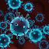 The Effects of Coronavirus on Education in Nigeria: The Negative and Positive
